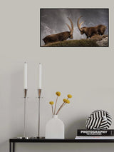 Eyes in eyes Poster och Canvastavla