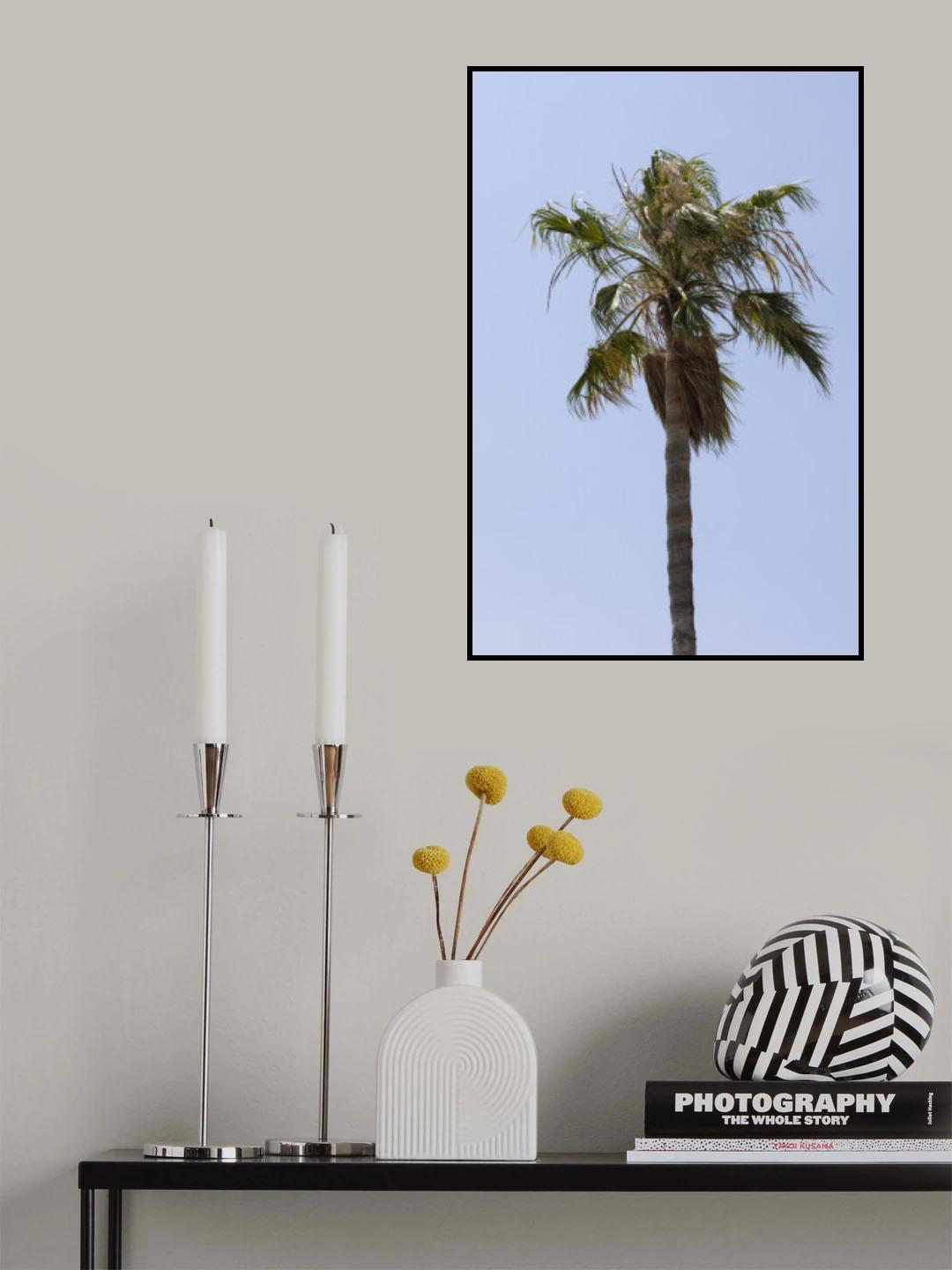 palm trees Poster och Canvastavla
