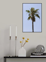 palm trees Poster och Canvastavla