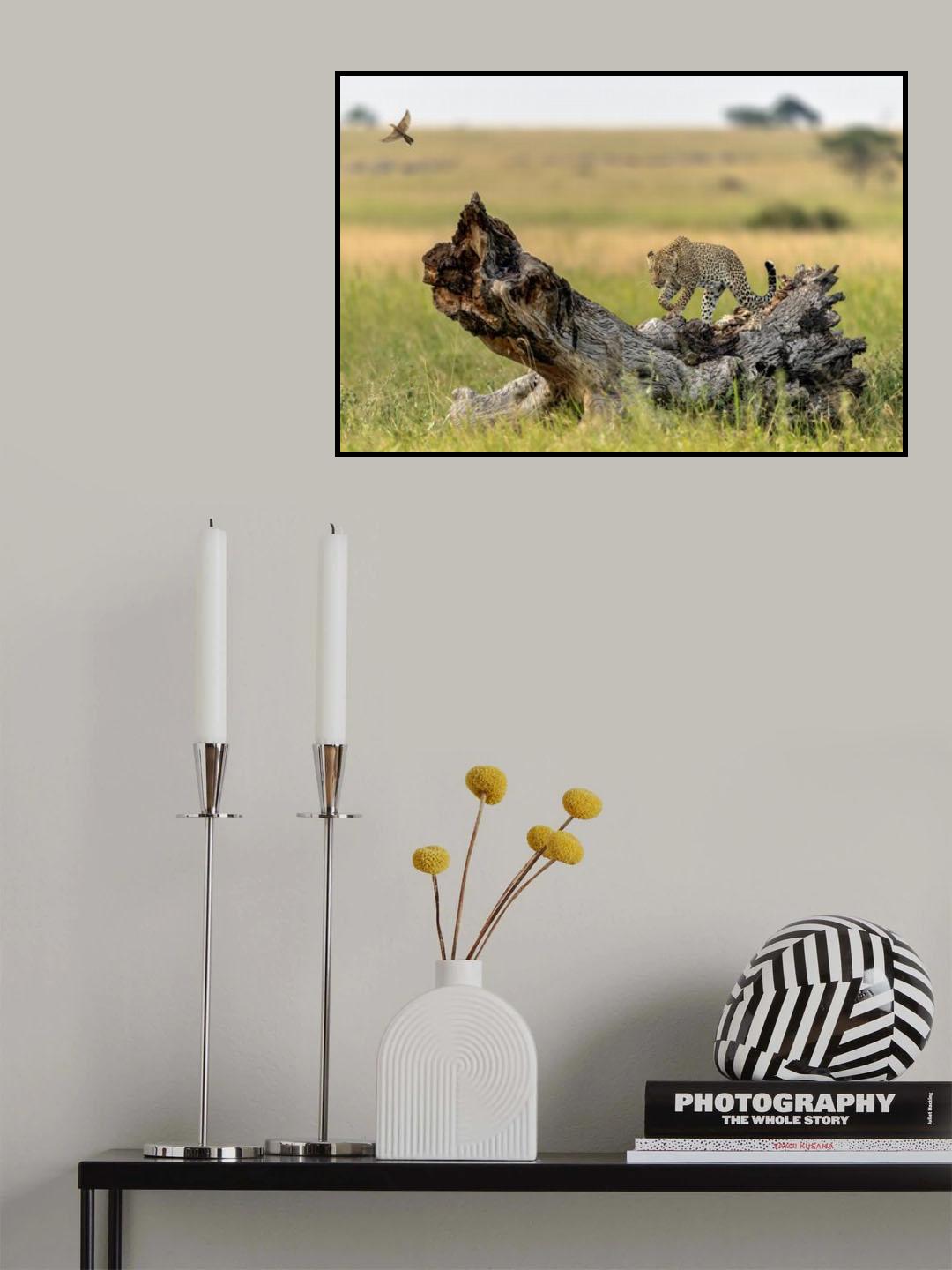 The leopard and the bird Poster och Canvastavla