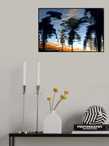 Palm Reflections Poster och Canvastavla