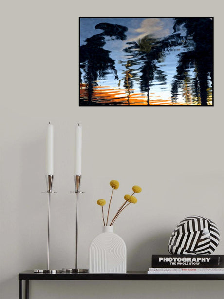 Palm Reflections Poster och Canvastavla
