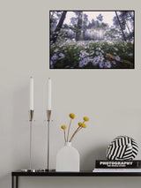 Siberian Chrysanthemum Habitat Poster och Canvastavla