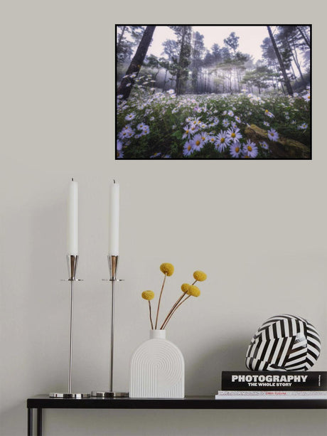Siberian Chrysanthemum Habitat Poster och Canvastavla