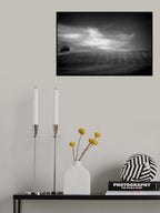 fields in black &amp; white Poster och Canvastavla