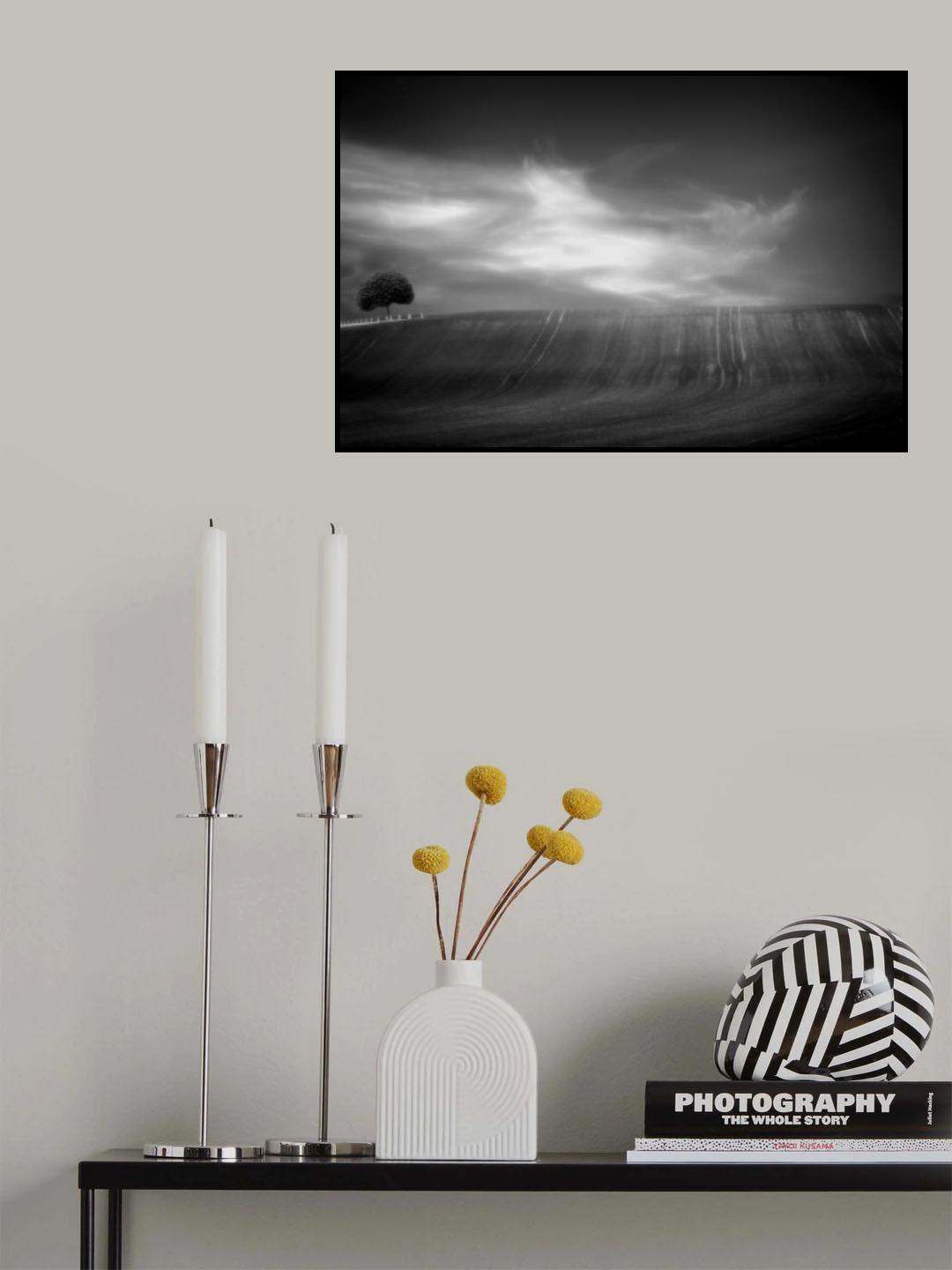 fields in black &amp; white Poster och Canvastavla