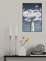 Cape Point Poster och Canvastavla
