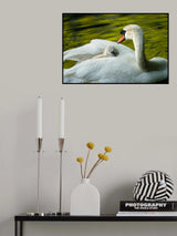 Sweet Dreams Poster och Canvastavla