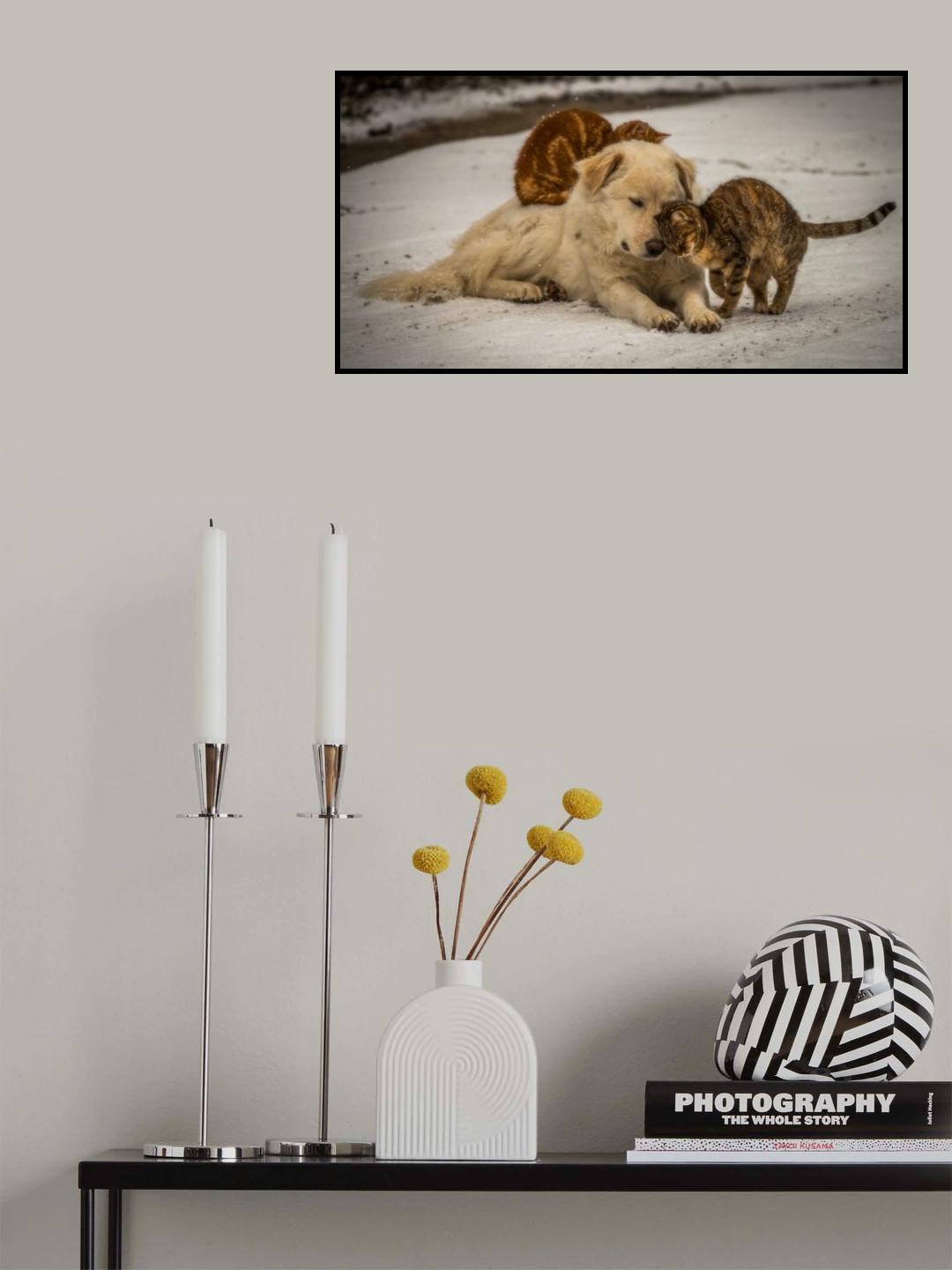 sweet effusions Poster och Canvastavla