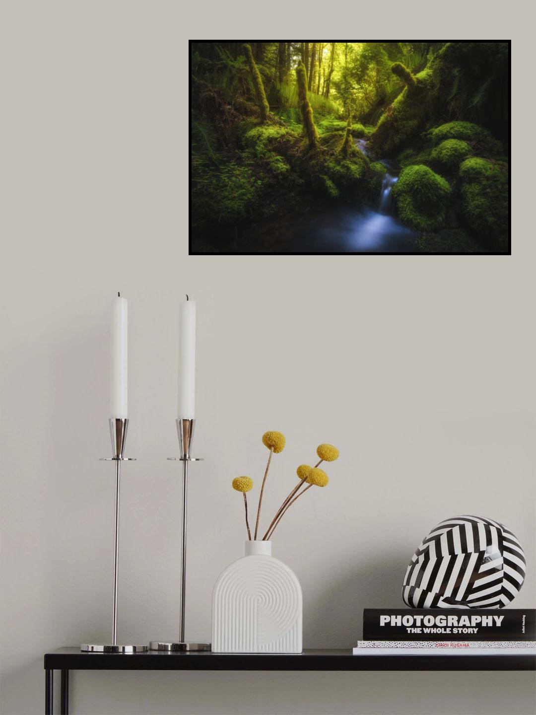 Rejuvenation Poster och Canvastavla