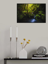 Rejuvenation Poster och Canvastavla