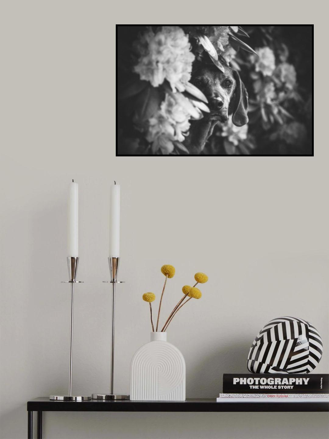 TIMELESS Poster och Canvastavla