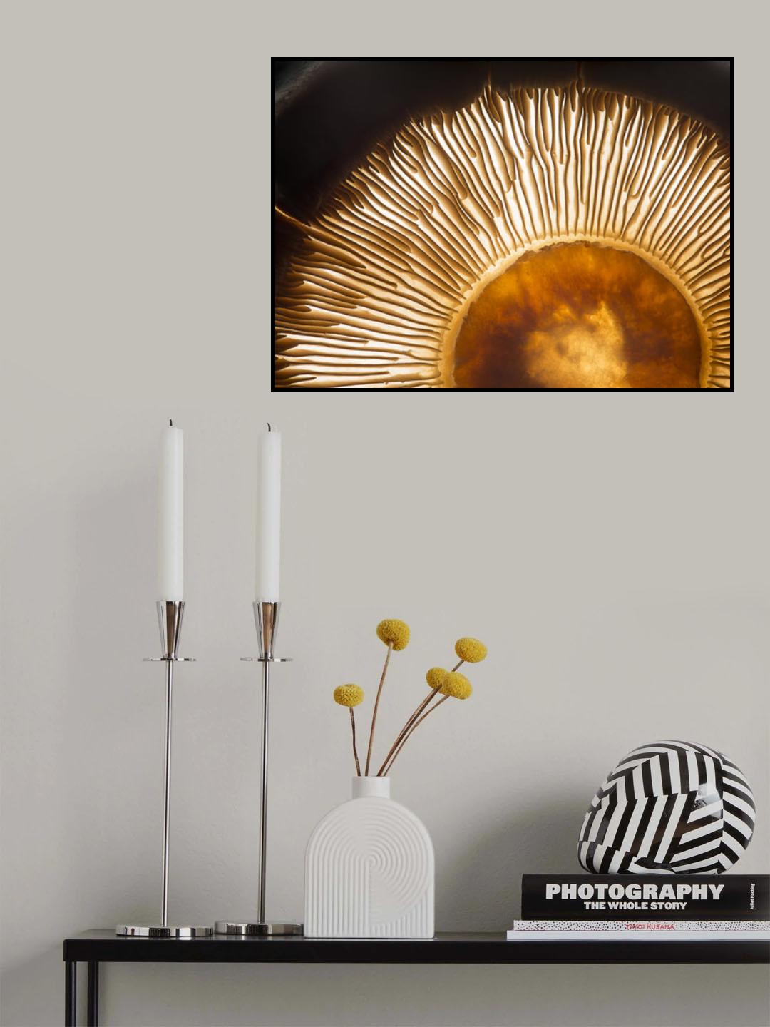Portobello mushroom Poster och Canvastavla