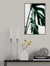 Monstera Natural 27 Poster och Canvastavla
