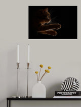 Come to me Poster och Canvastavla