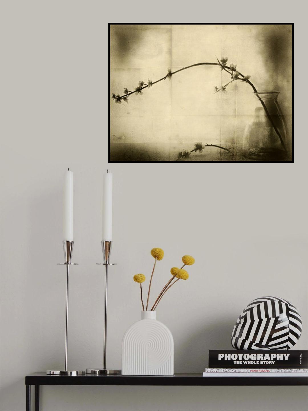 zen Poster och Canvastavla