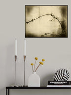 zen Poster och Canvastavla