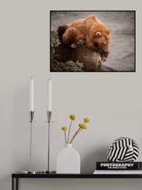 Tired Poster och Canvastavla