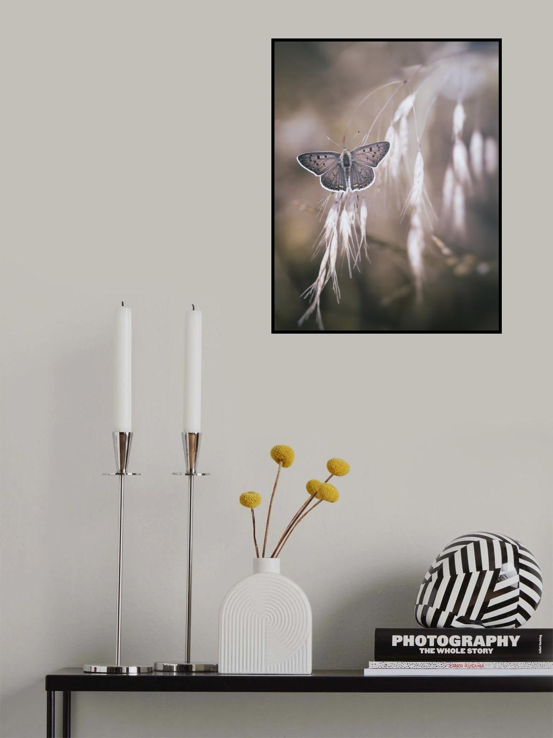 a quiet butterfly Poster och Canvastavla