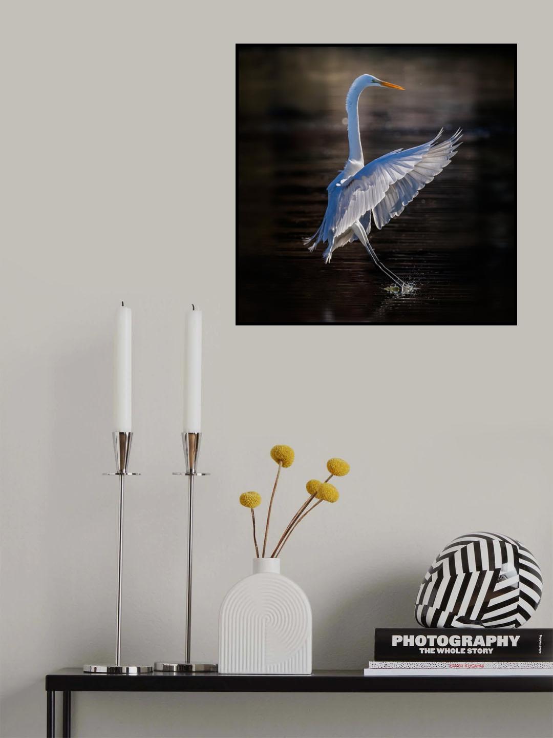 Touch Down Poster och Canvastavla