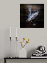 Touch Down Poster och Canvastavla