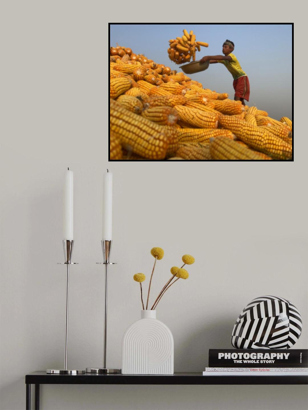 Corn processing Poster och Canvastavla