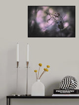 Intouchable Poster och Canvastavla