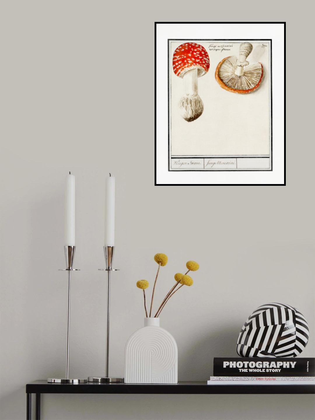 Fly Agaric, Amanita Muscaria Poster och Canvastavla