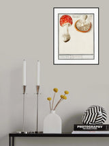 Fly Agaric, Amanita Muscaria Poster och Canvastavla