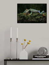 Kiss Poster och Canvastavla