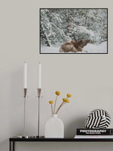 * Poster och Canvastavla