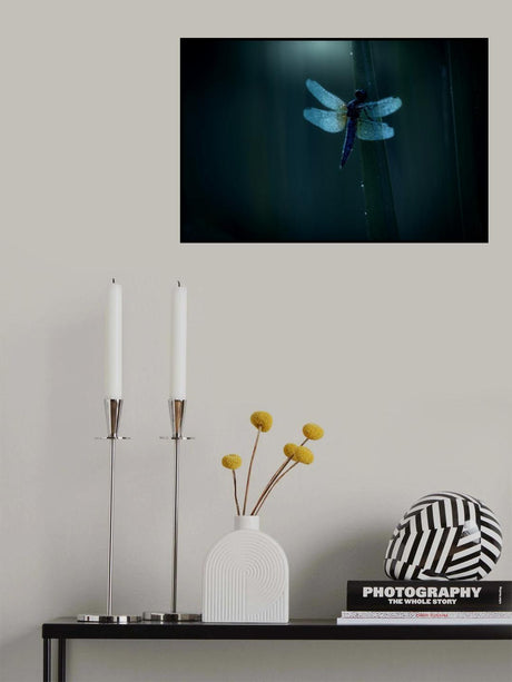 Morning dewⅣ Poster och Canvastavla