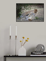 A Loving Swat Poster och Canvastavla
