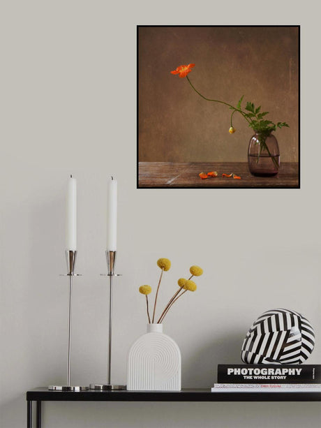 A story with orange poppies Poster och Canvastavla