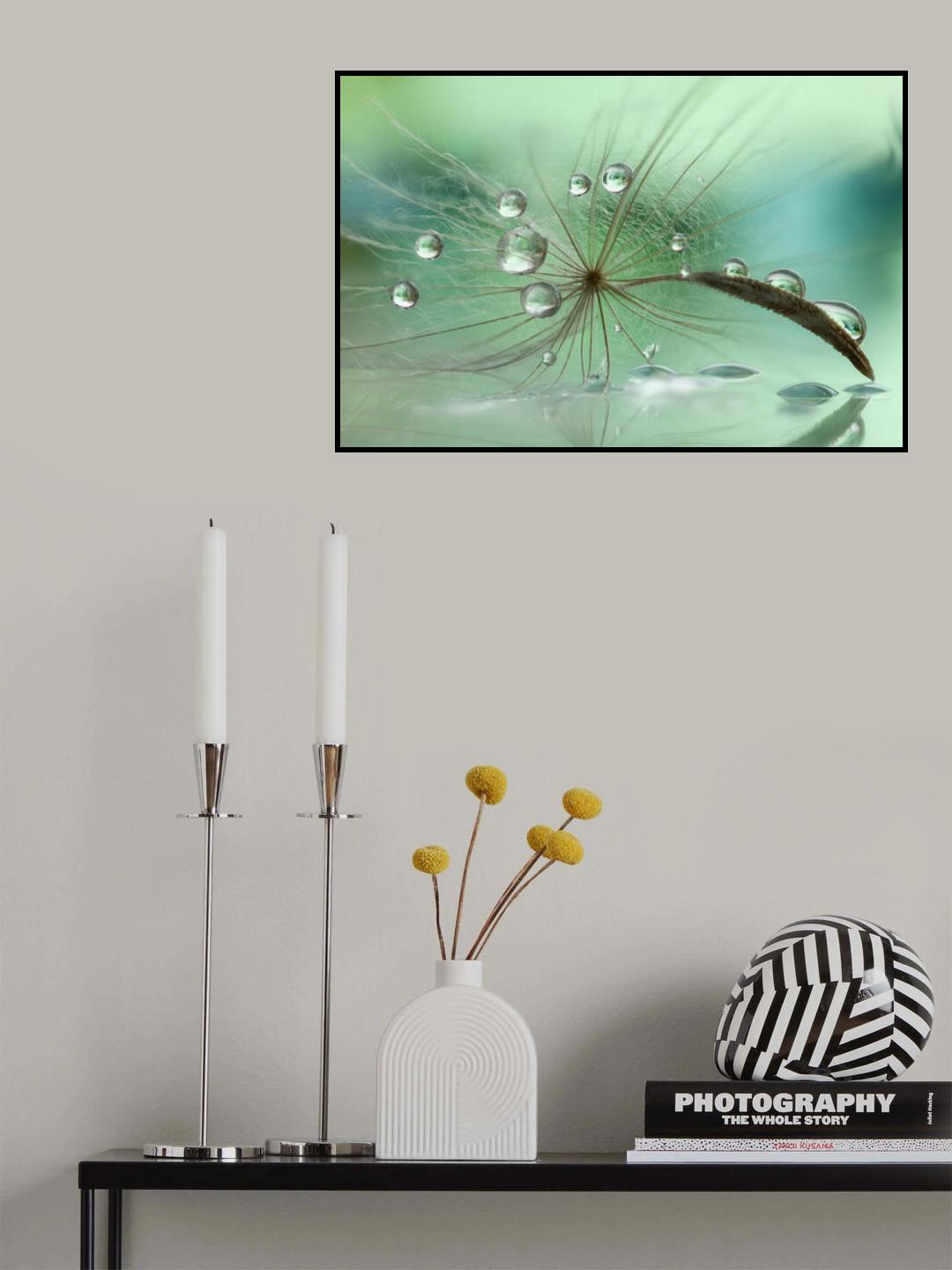 Aurora Borealis Poster och Canvastavla