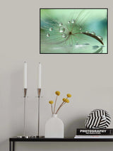 Aurora Borealis Poster och Canvastavla