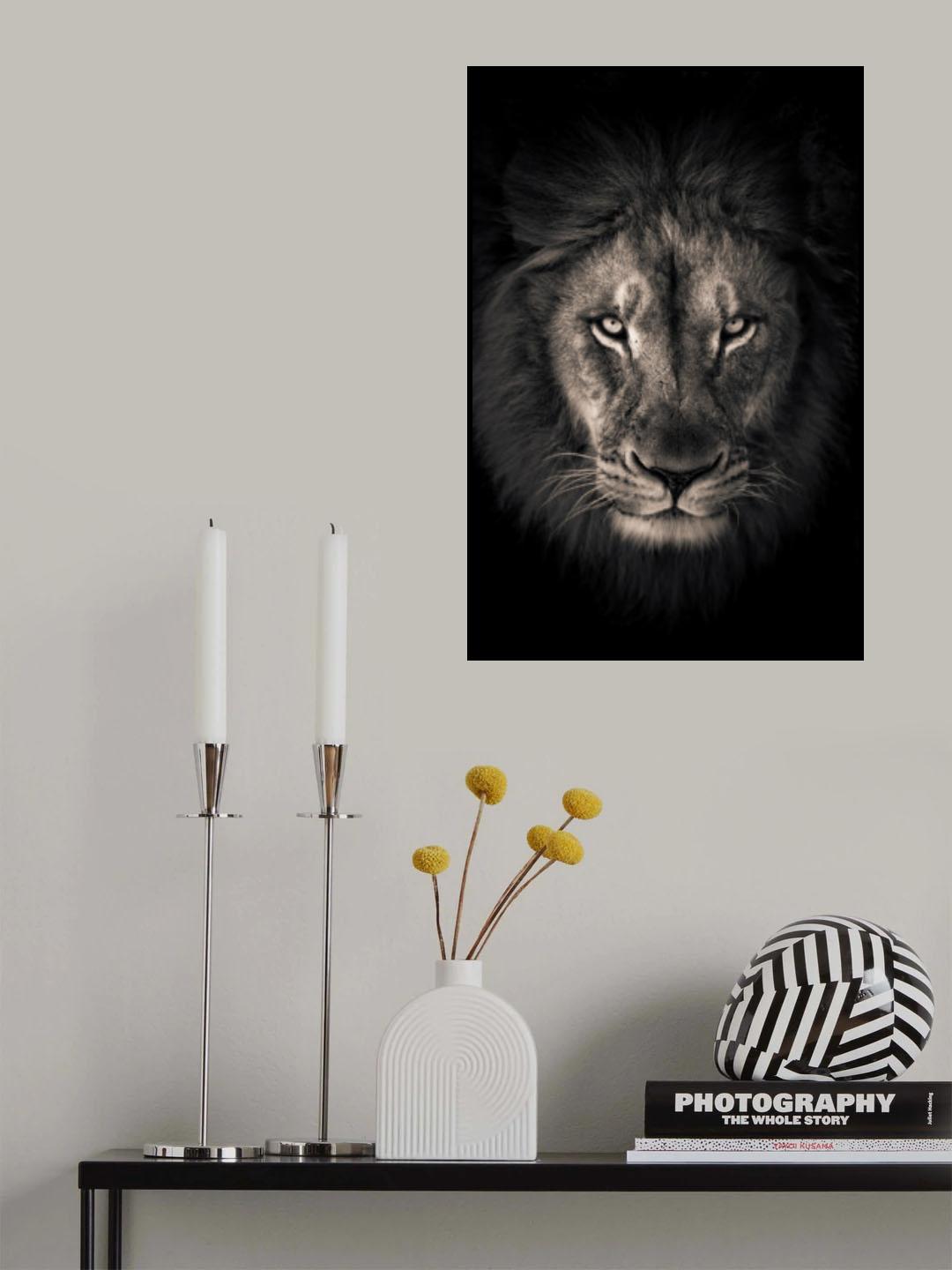 The king Poster och Canvastavla