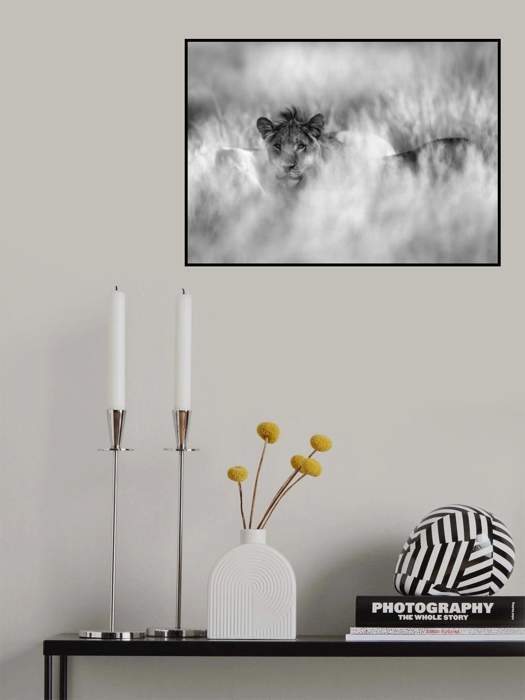 Subtle mane Poster och Canvastavla
