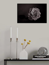 Rose Poster och Canvastavla