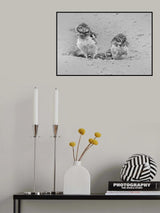 Curious Poster och Canvastavla