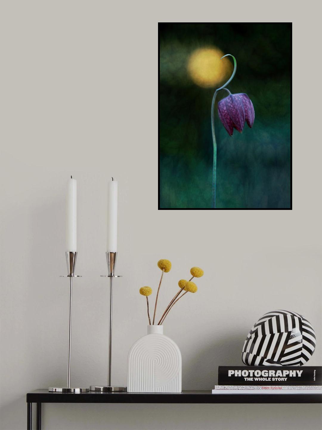 Reaching the Light Poster och Canvastavla