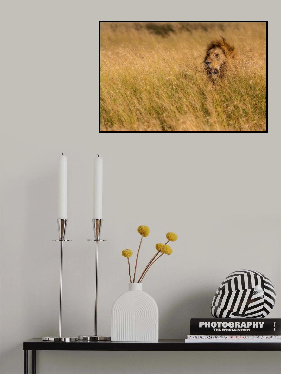 KING Poster och Canvastavla