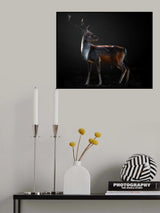 Fallow deer portrait Poster och Canvastavla