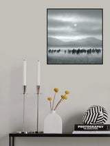 Toward the sun Poster och Canvastavla