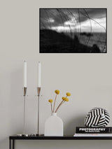 the wind brings the night Poster och Canvastavla