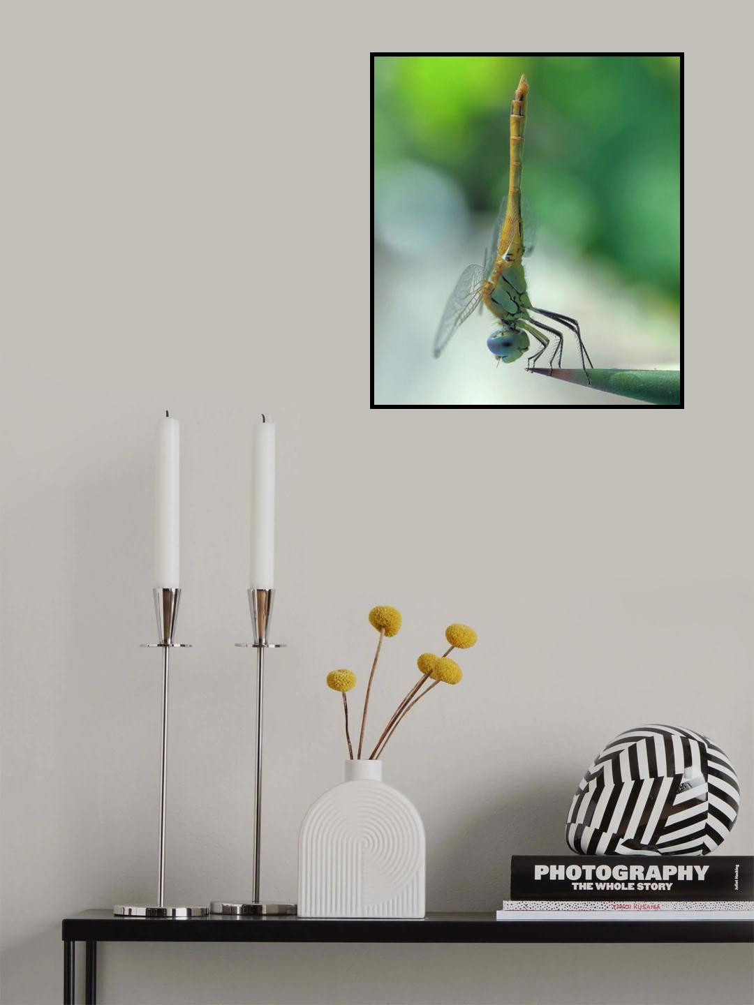 Kamikaze... Poster och Canvastavla
