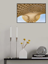 Las Setas (the mushrooms) #2 Poster och Canvastavla