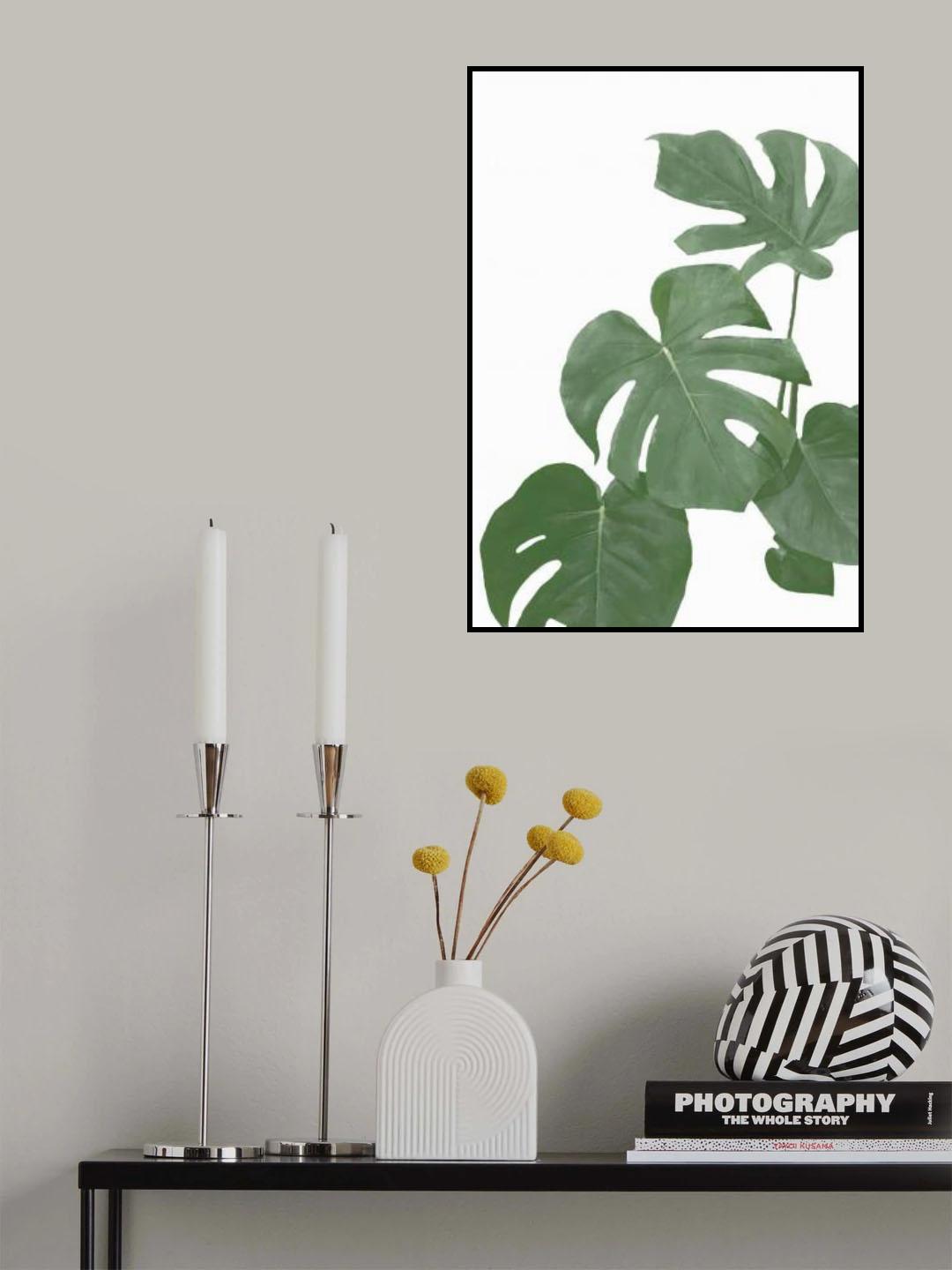 Monstera Aqua 03 Poster och Canvastavla