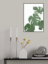 Monstera Aqua 03 Poster och Canvastavla
