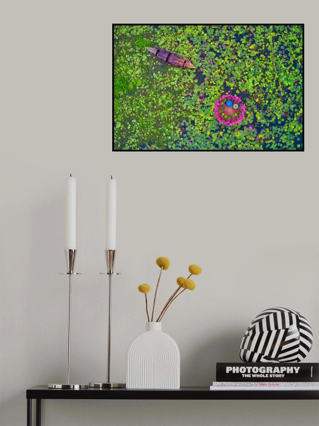 Canal of water lily Poster och Canvastavla